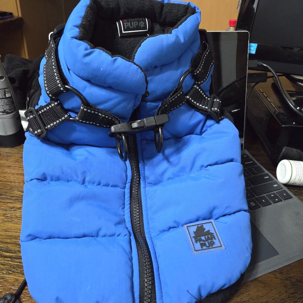 Puffer jacket with built in  harness